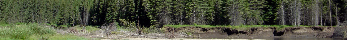 Watershed and Aquatics Training in Environmental Research