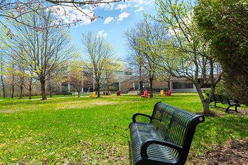 UNB's Fredericton campus