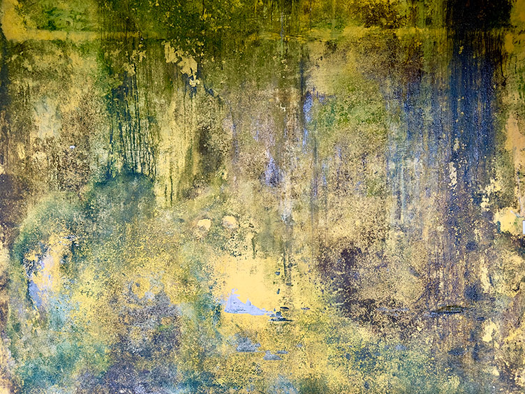 Image title: Imperial Yellow Huế, 01/01/2024