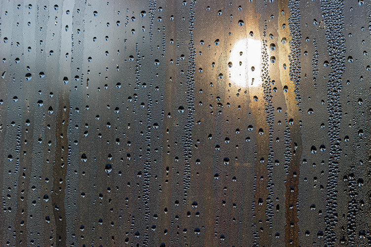 IMAGE: Roger Smith, Light Through a Curtain of Tears, 2025 Credit: Image: Roger Smith