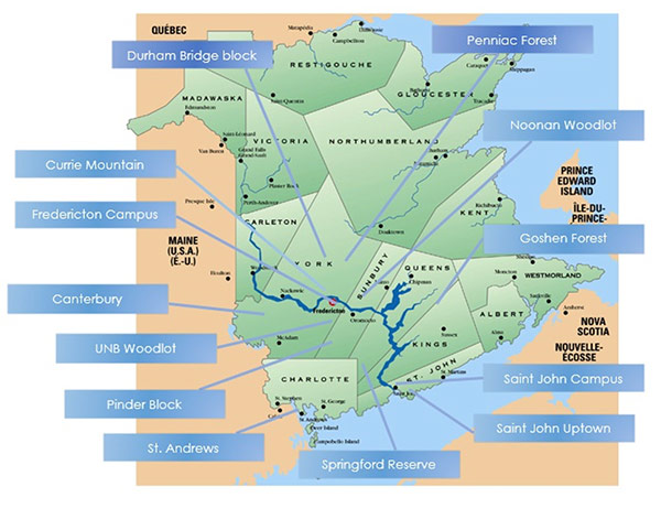 New Brunswick map