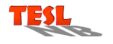 TESL NB logo