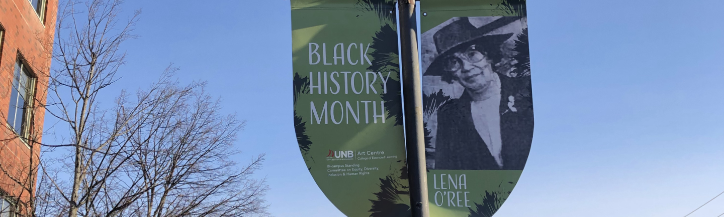 a sample banner hung from a lamp post in downtown Fredericton, NB, featuring Lena O'Ree