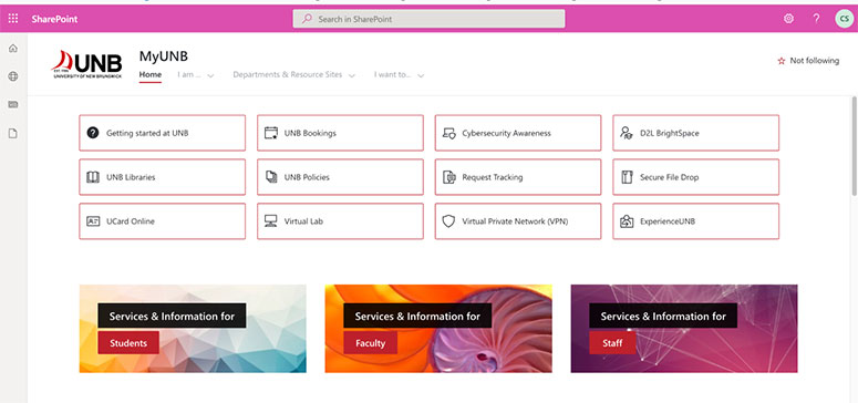 Screenshot of main myUNB portal page with eServices highlighted 