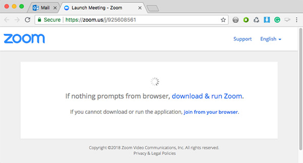 Screenshot of Zoom download and run window