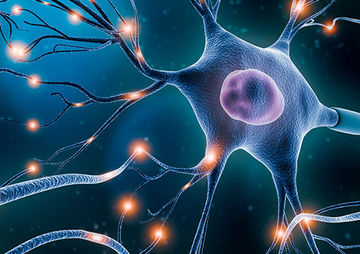 Neurons in a brain firing