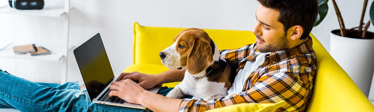 An individual sitting on a yellow couch with a laptop and a cute dog on their lap