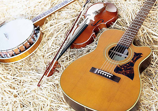 This is an image of instruments lying on hay