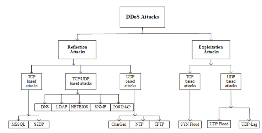 DDoS Taxonomy