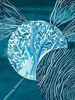 Photo of Insect’s Point of View