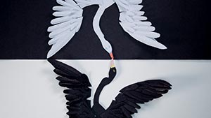 Photo of Svanen-Hilma