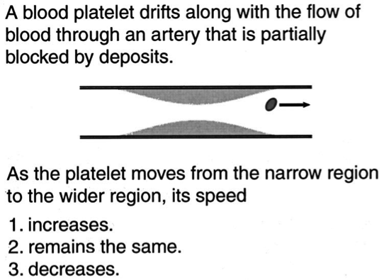 An example of a peer sample quiz