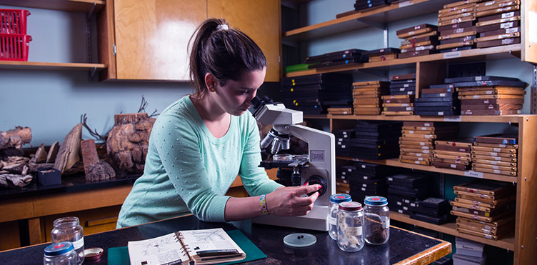 Master of Science in Forestry