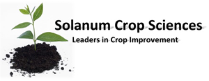 Solanum Crop Sciences