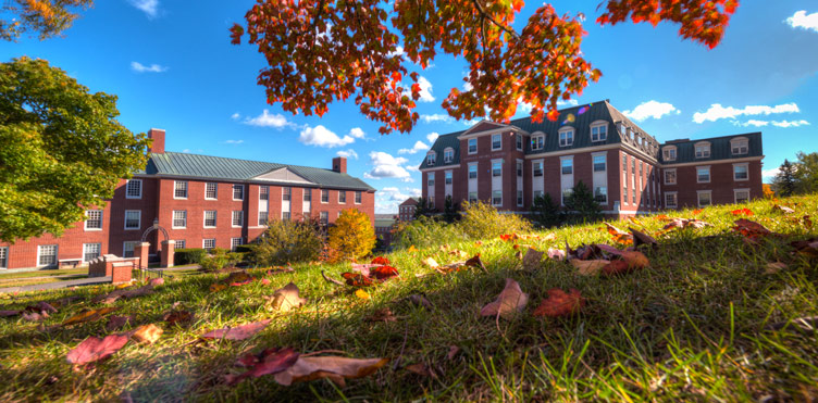 UNB Fredericton Campus in the fall