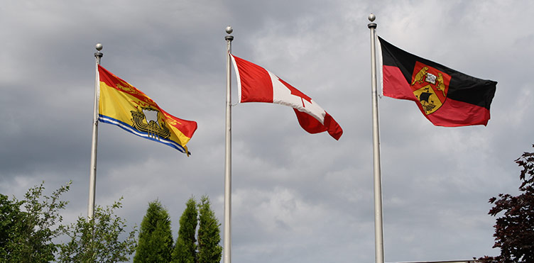 photo of UNB flags