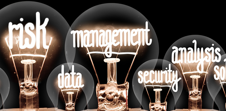 Five lightbulbs with the words risk, data, management, security, analysis.