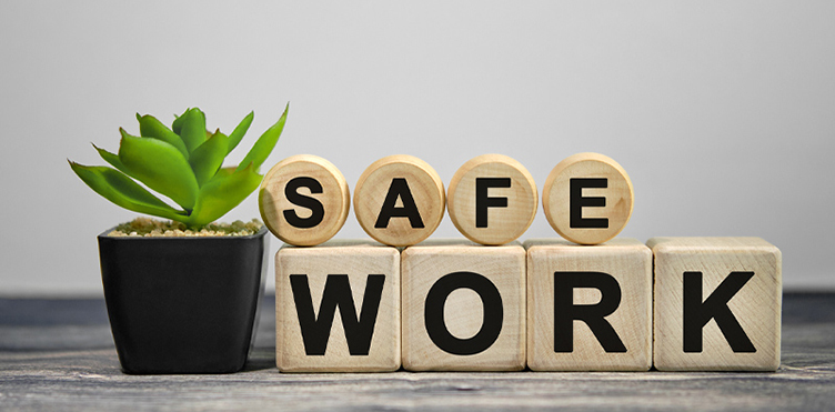 A small succulent plant beside little wooden titles spelling "safe work".