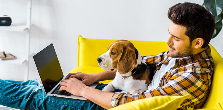 A student sits on a couch with a dog while using a laptop.