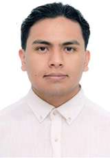 Bremer Solano