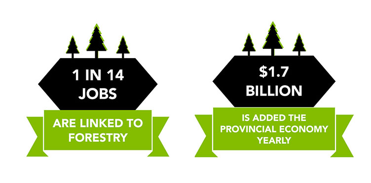 NB Forestry Sector