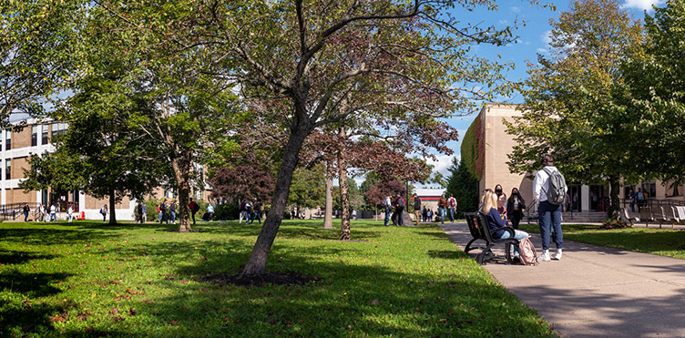 The Quad at the Saint John campus
